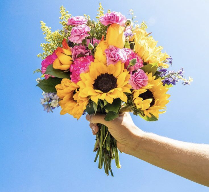 mytaprewards's tweet photo. It’s never a bad time to make her feel special with flowers 💐
@hoochapp has gift cards for @1800flowers that can redeemed with #TAPrewards
#hooch #hoochapp #rewards #tapnetwork #flowers #boquetofflowers #blockchain #tapcoin https://t.co/EHpunJiD4M