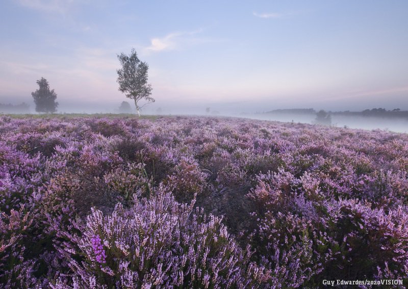The Wildlife Trusts tweet media