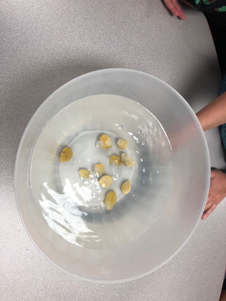 “Each little thing we do goes out, like a ripple in the world.” #bearshine #misdliveskind