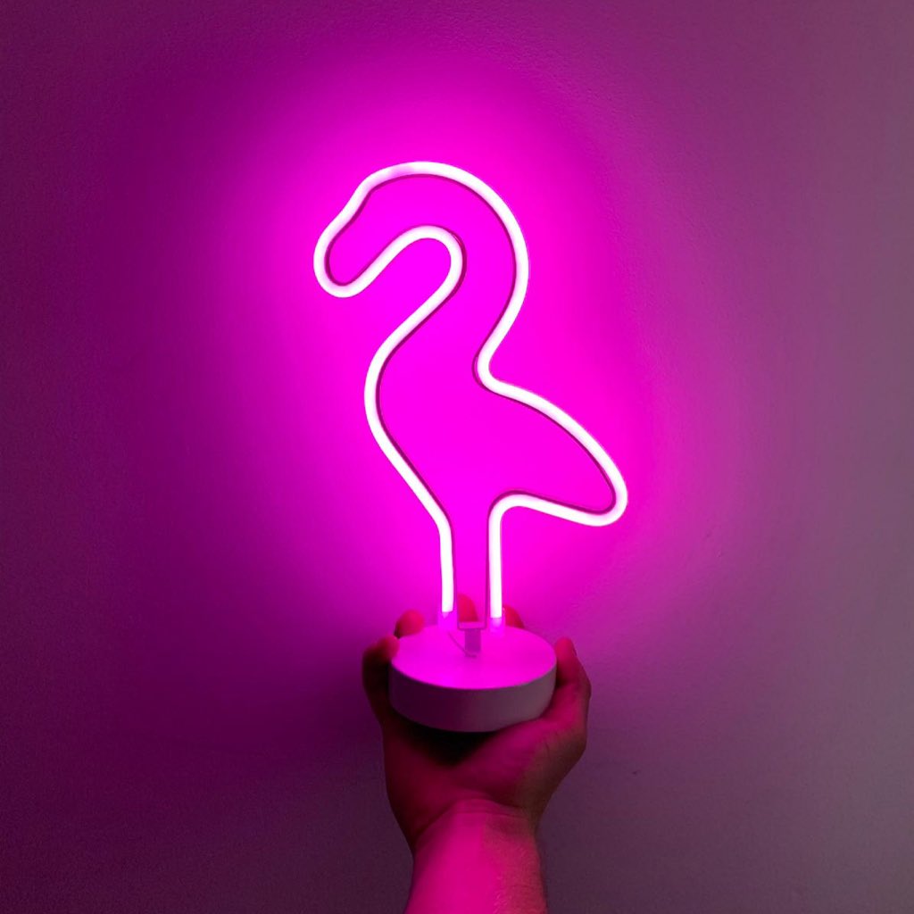 ParadisoNewc's tweet photo. So we got our hands on our very own Flamingos! 😍

We need to name our mascot though...

Follow Us &amp; Quote this Tweet with your suggested name for a chance to WIN YOUR VERY OWN FLAMINGO 😱🌸💜

#FlamingoFridays https://t.co/sTZvoHm36D