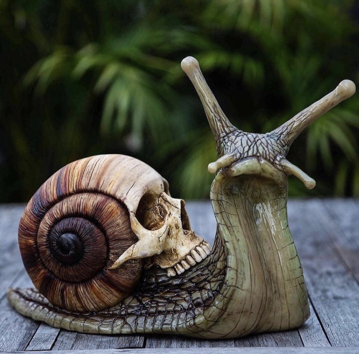 MizT Tattoo  Got to do another lil skull snail today  Facebook
