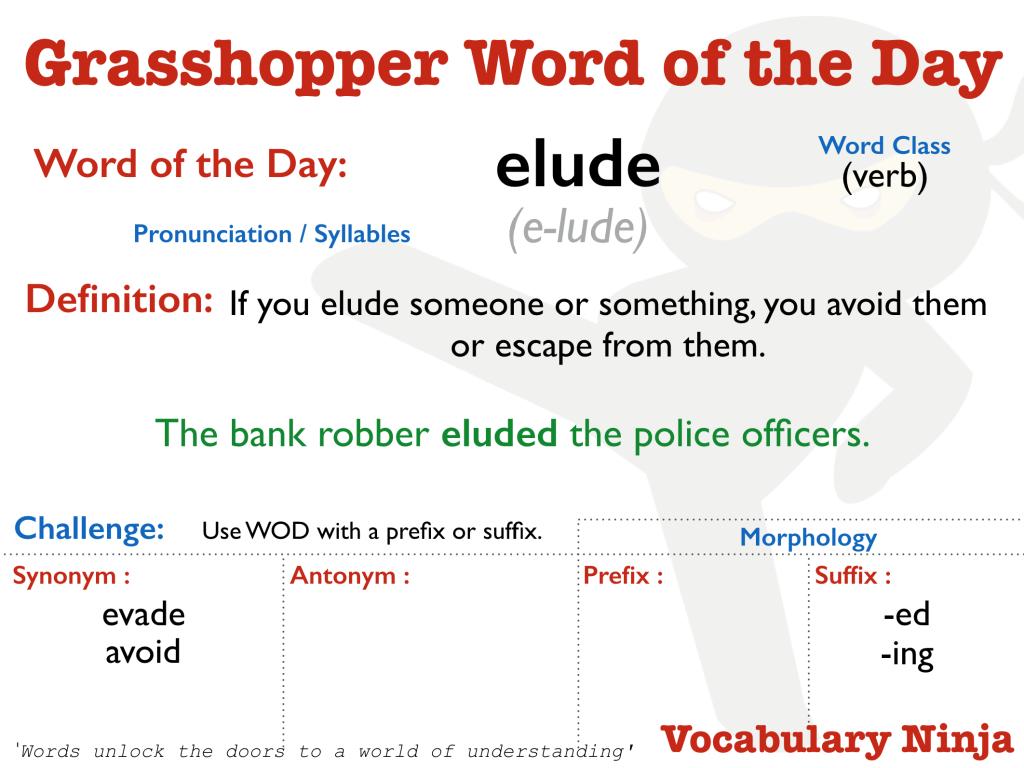 Vocabulary Ninja on X: Grasshopper Word of the Day    / X