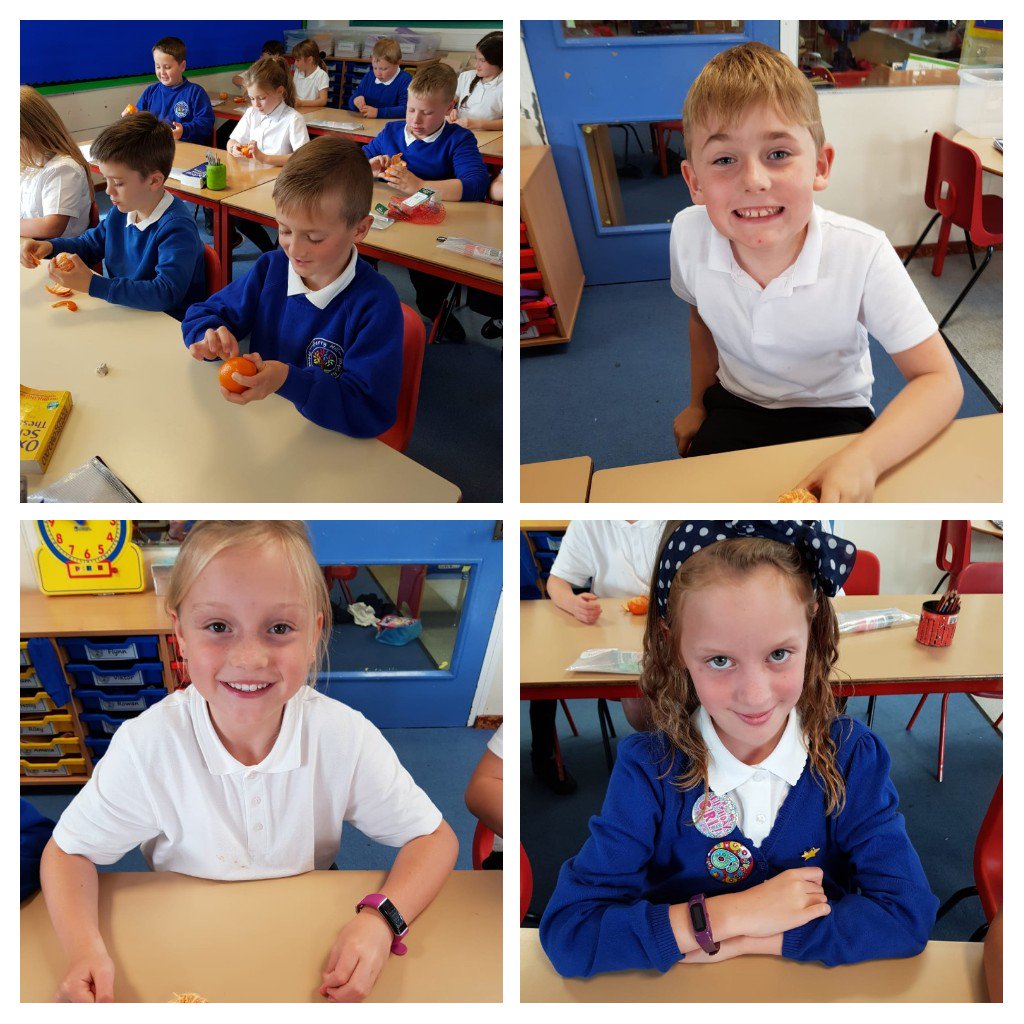 BHPSMansfield's tweet photo. Class 11 used oranges to show how world maps are distorted as making something spherical flat involves some manipulation. #exploreproject #whereisthebestplaceonEarth  #tastywork https://t.co/ZRsbiLl4DM