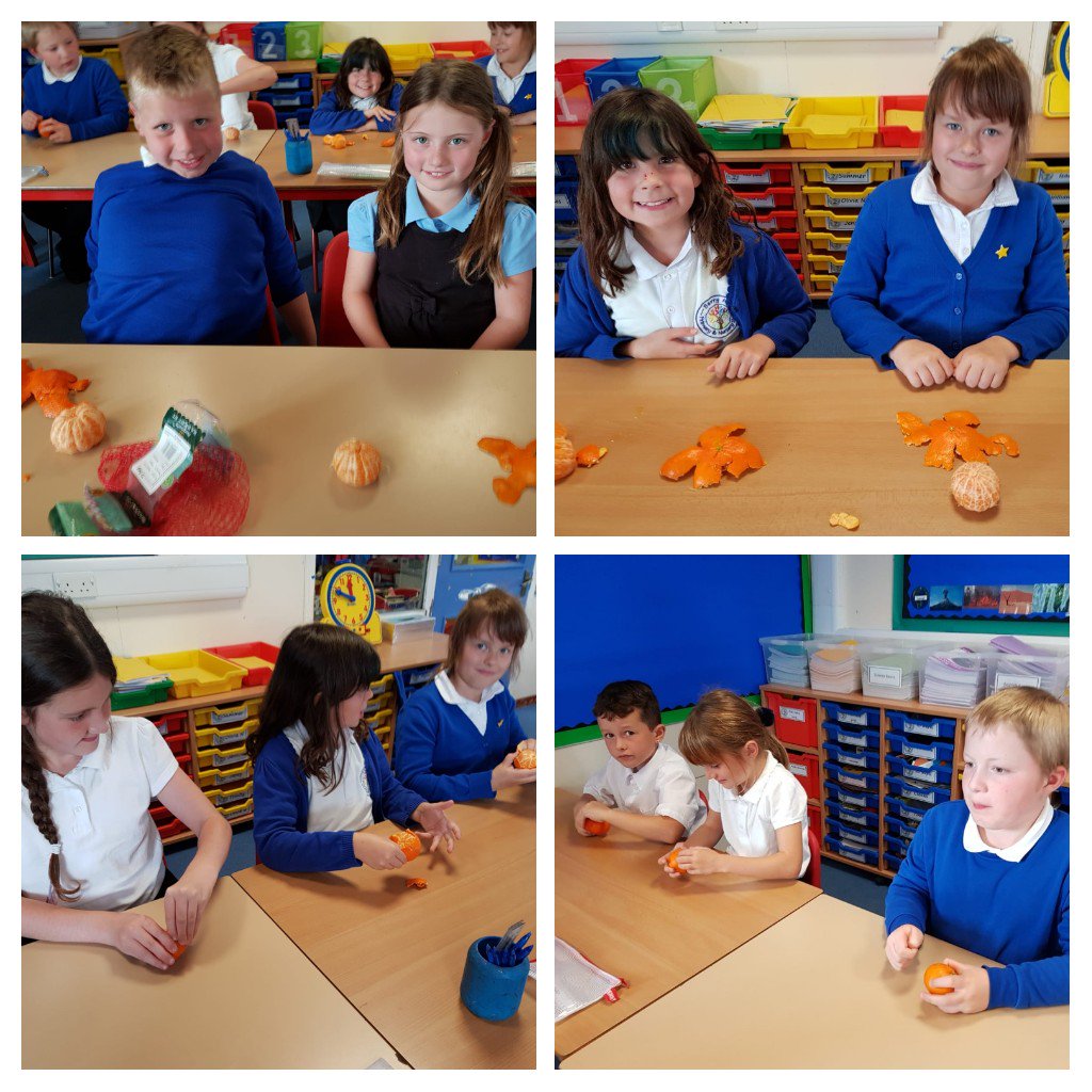 BHPSMansfield's tweet photo. Class 11 used oranges to show how world maps are distorted as making something spherical flat involves some manipulation. #exploreproject #whereisthebestplaceonEarth  #tastywork https://t.co/ZRsbiLl4DM