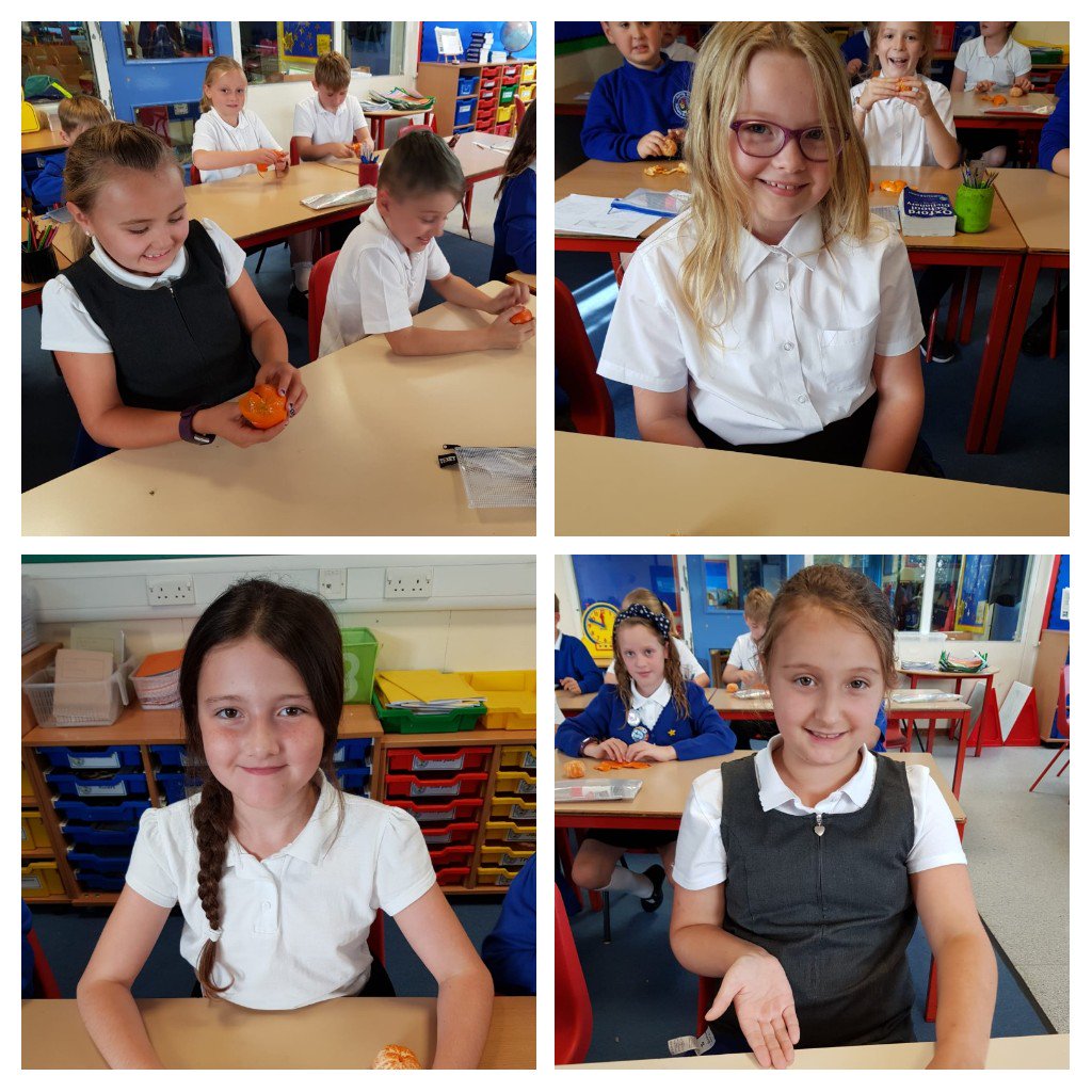 BHPSMansfield's tweet photo. Class 11 used oranges to show how world maps are distorted as making something spherical flat involves some manipulation. #exploreproject #whereisthebestplaceonEarth  #tastywork https://t.co/ZRsbiLl4DM