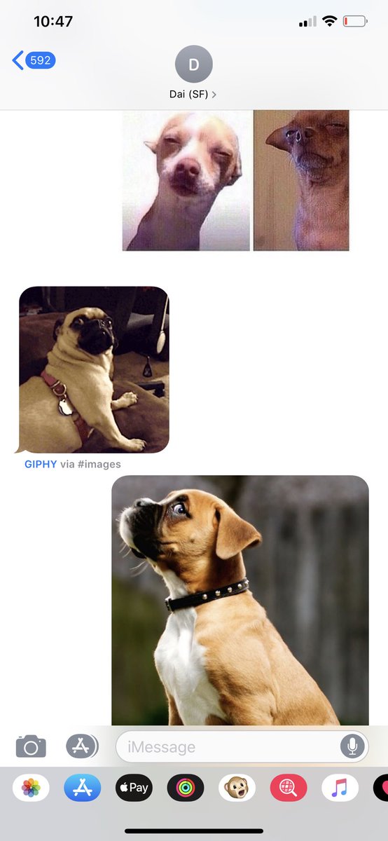 That’s how <a href="/daienebeatriz/">Daiene Beatriz</a> talk to each other on #iMessage 😂🐶🤷🏻‍♀️🤷🏾‍♀️