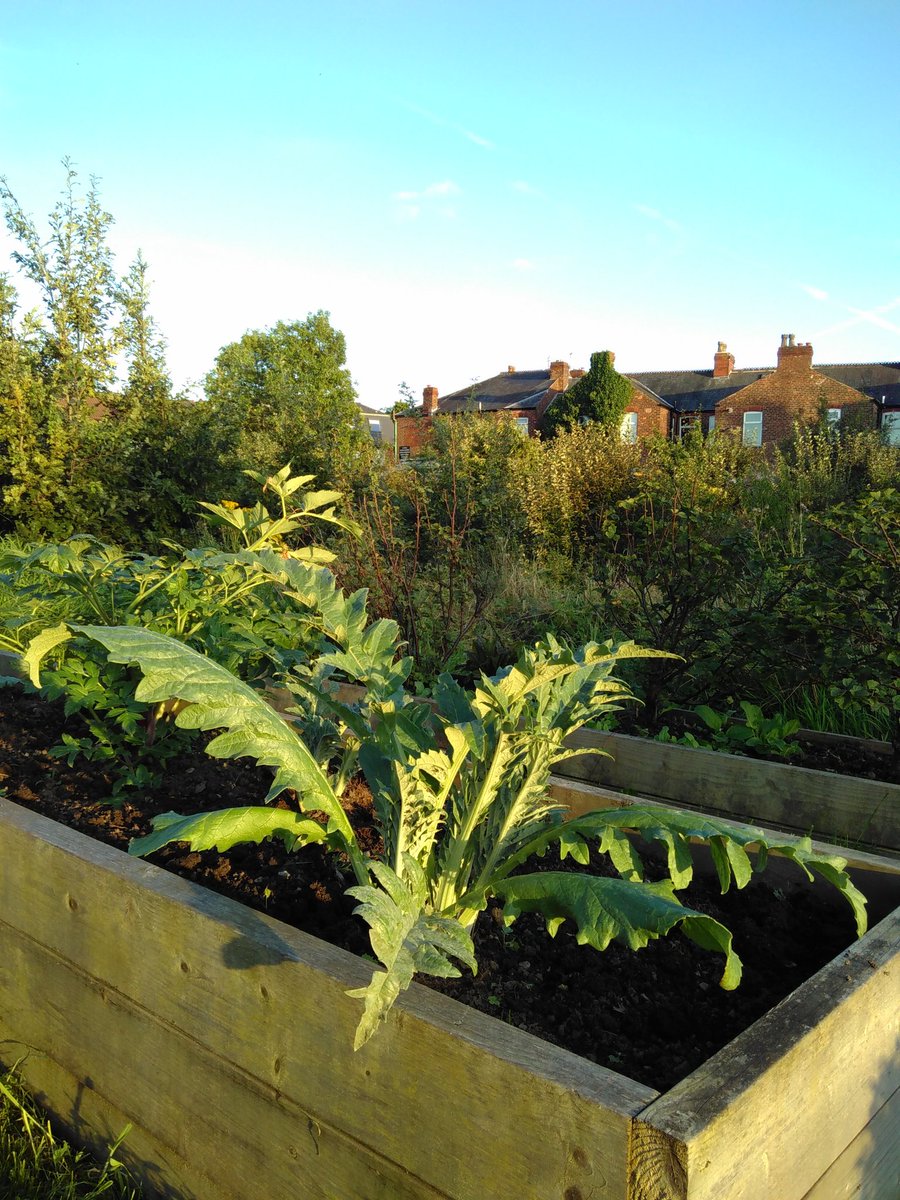 I E Levenshulme tweet media