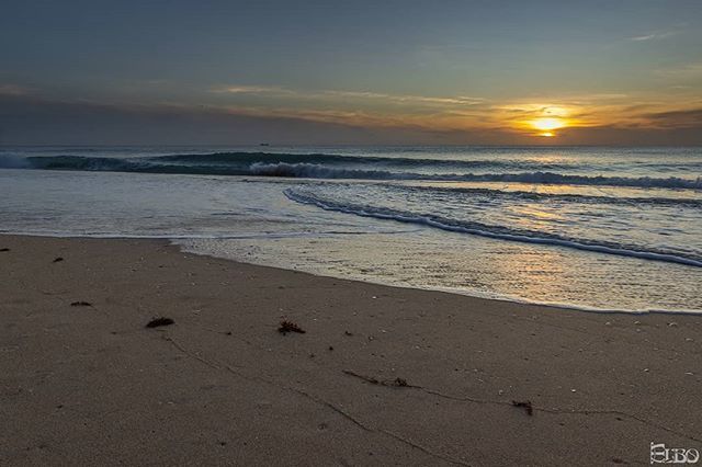 elbonius's tweet photo. 43 🎂🎁🎈🎉🤪😎
This morning. My morning.
#LoveFL #fun_in_florida #florida #southflorida #ilovewpb #roamflorida
#florida_greatshots #ig_skyvibes #hashtagflorida #staysaltyflorida #palmbeach #igers #beach #sunrise #sunrise_sunsets_aroundworld #beachlife… https://t.co/Vgvay8hEpd https://t.co/yjI2W26QZ4