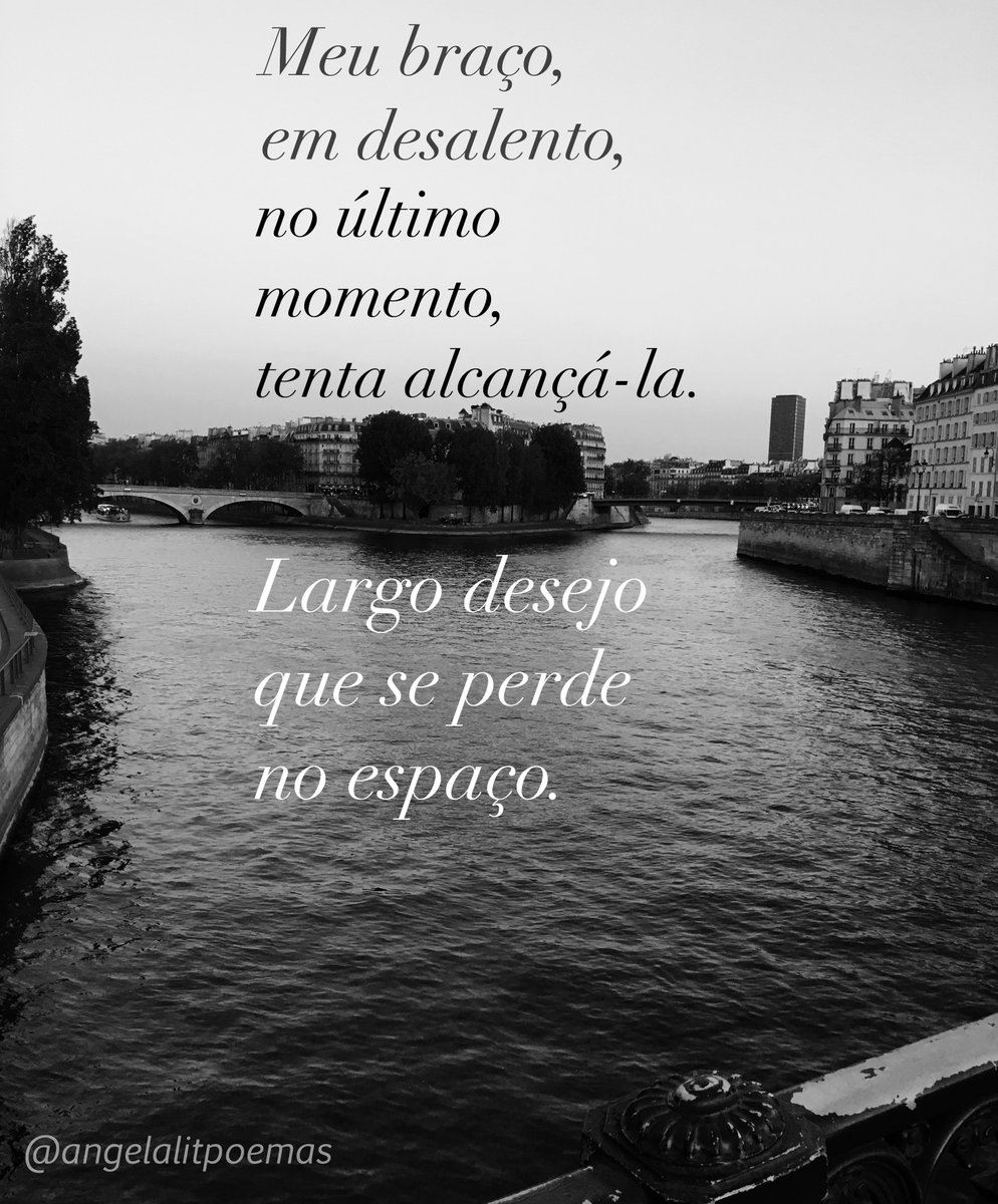 AngelaLit3's tweet photo. Chuva de Palavras (Angela Lit)

Leitura completa do novo livro de poemas Chuva de Palavras em
https://t.co/CeBGYIBqOc

Mostre aos seus amigos que também amam poemas.

Instagram - @angelalitpoemas
Facebook - https://t.co/4H0IIY6qKl

#poemas #poesia #poemasepoesias #gratis https://t.co/y2aK7nhYRw