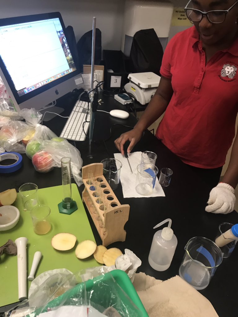 MWS_science's tweet photo. DP Bio Y2 enjoying IAs. #meridian #MWS_science #sciencerocks #IB #DP #biology #crazytime #IAs https://t.co/s0MwooKy3J