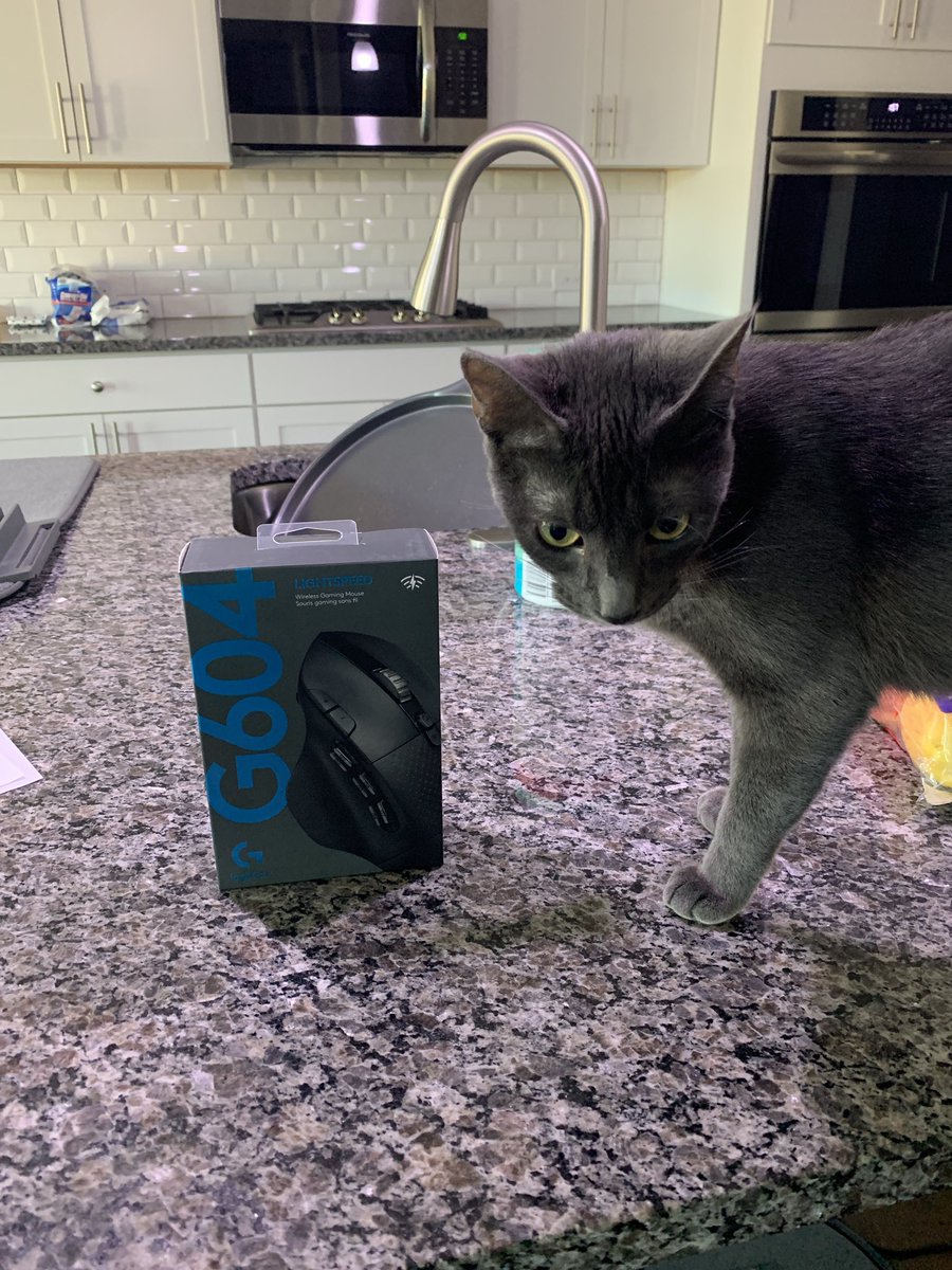 Centerstrain01's tweet photo. A thing of Beauty! Sega my cat only goes after the best of Mice! #LogitechG #LogitechG604 Lightspeed #productsentbyLogitechG @LogitechG Nintendo my Dog is Jealous https://t.co/IywslxloNE