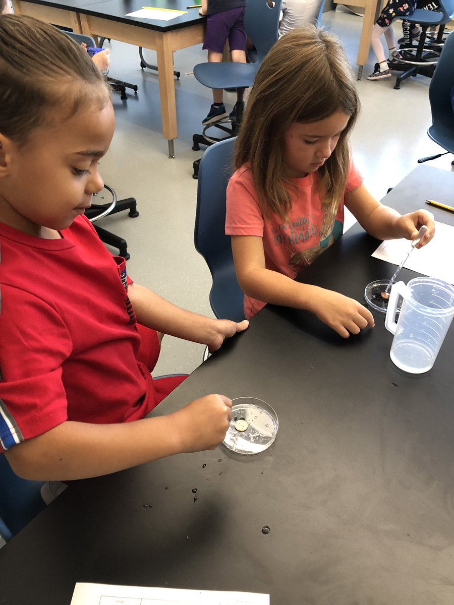 StewartWecker's tweet photo. We loved exploring science tools and their purpose in the science lab this morning! https://t.co/9NuzHDn4cy