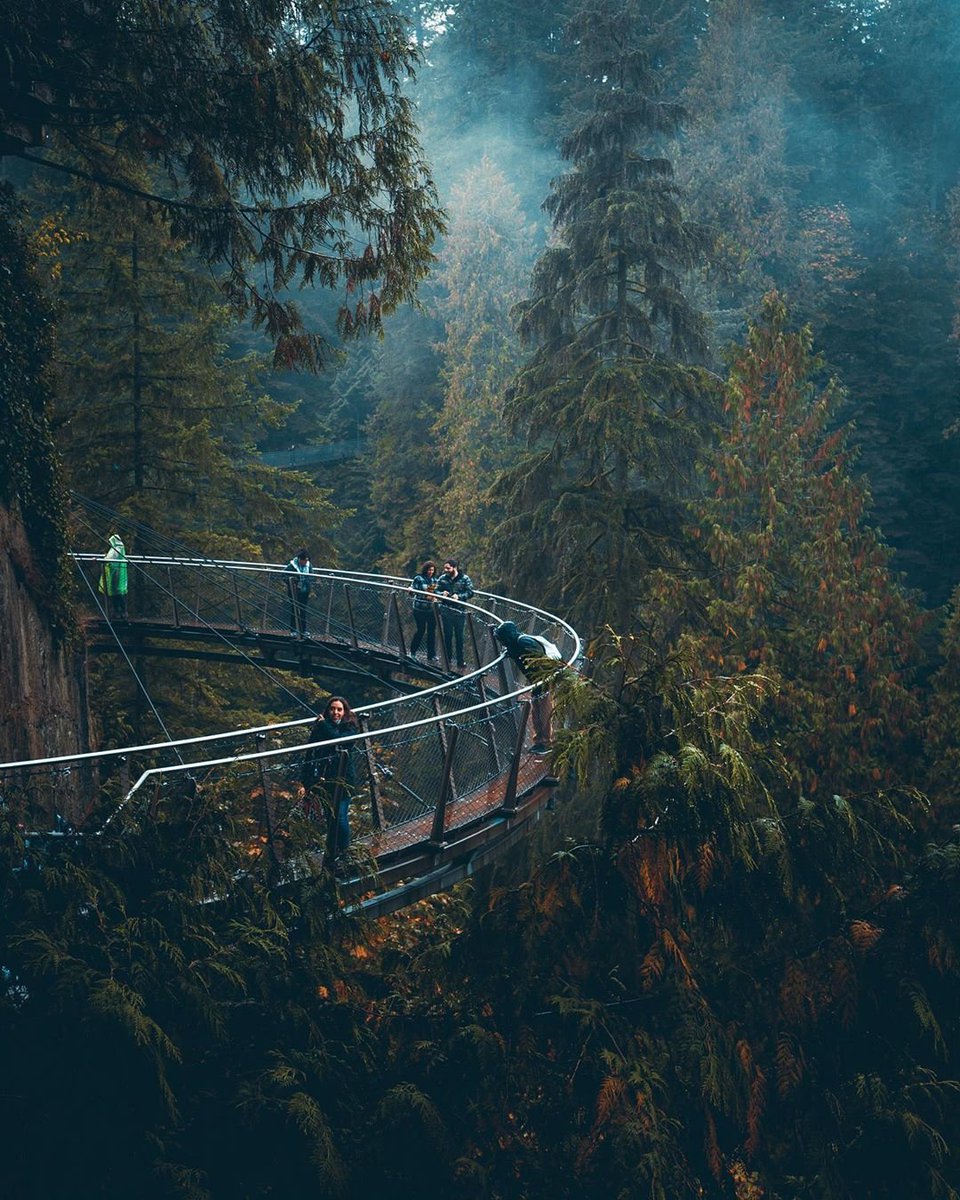 capbridge's tweet photo. Fall is starting to make its presence felt. Our new early Fall hours have started today. We are now open 9am-6pm daily!
#capbridge130 #explorebc #northvan #vancity #yvr #explorecanada #canada https://t.co/iyFE7PYJ4a