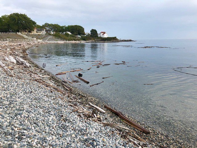 LaurieCarter_EC's tweet photo. Ross Bay on a tranquil Sunday afternoon a mere couple of hundred metres from Emily Carr’s grave. https://t.co/nAeBtDBlDa https://t.co/zi239hudEy