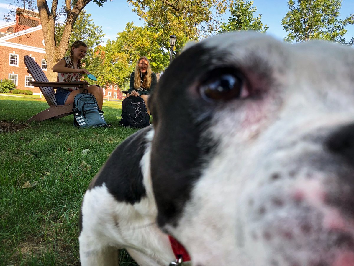 DePauw University tweet media