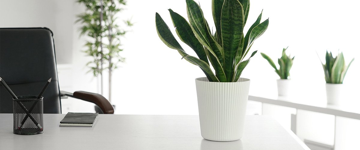 melcee's tweet photo. Plan sponsors want to know—and do—more about absence in the workplace. Here are 6 action steps and insights to build a comprehensive approach for absence management. https://t.co/lCAp42UFrF https://t.co/1ErQfhgefg