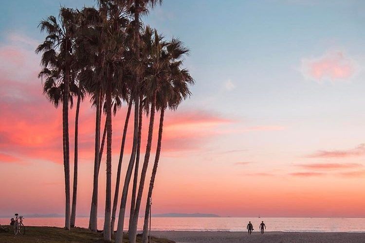 Los Angeles Tourism & Convention Board tweet media