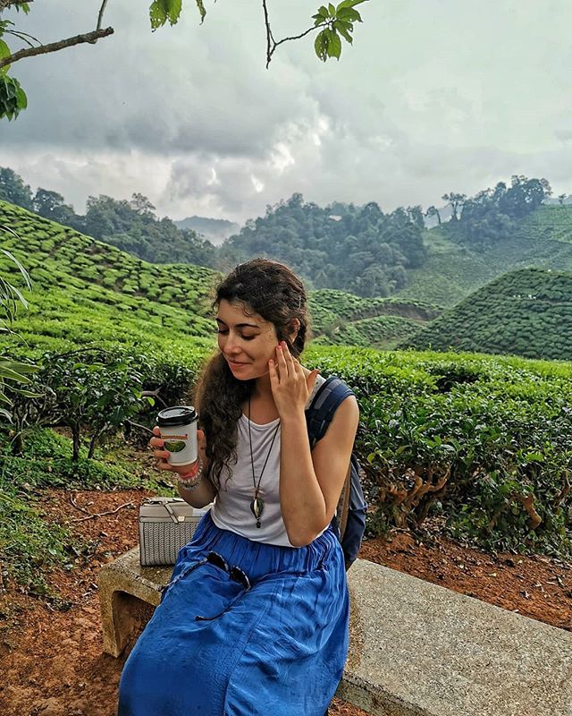 aledandelion's tweet photo. Un mese fa, bevendo un ottimo tè miele e zenzero nelle bellissime piantagioni delle Cameron Highlands. 
Oggi, bevendo una tisana tè verde e guaranà davanti al PC sommersa dalle cose da fare.
Trova le differenze. (le Cameron Highlands sono una delle Hills… https://t.co/2apEkY9ukU https://t.co/9V7CHrmdhP