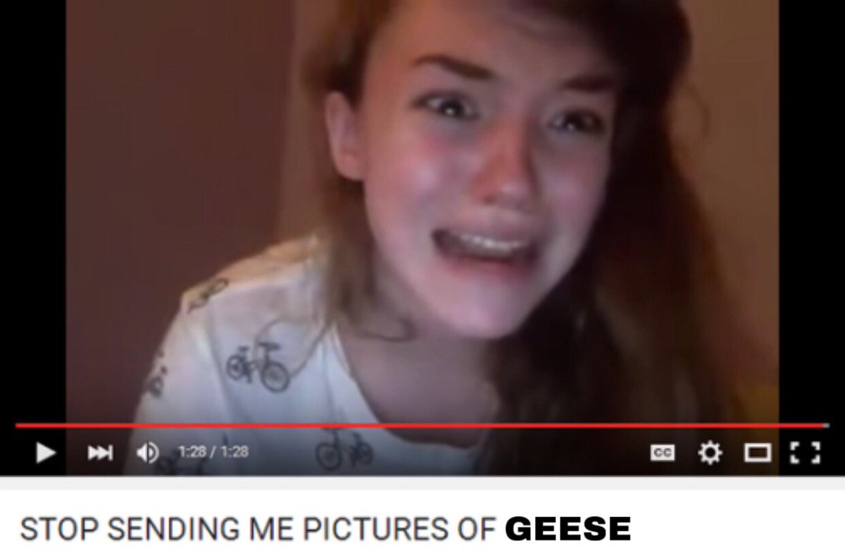 geese_i's tweet photo. I still hate geese https://t.co/EKhNYqmDfE