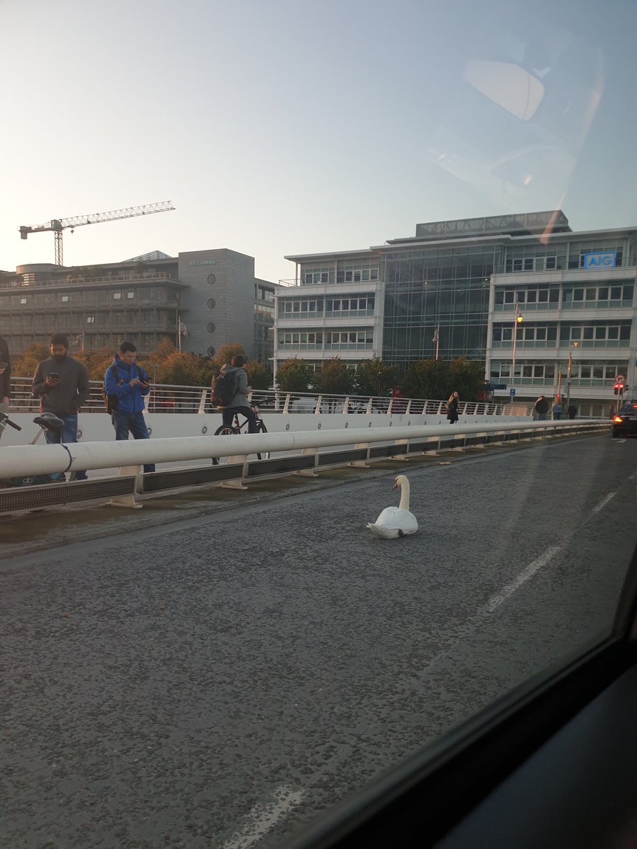 Laura Stafford tweet media