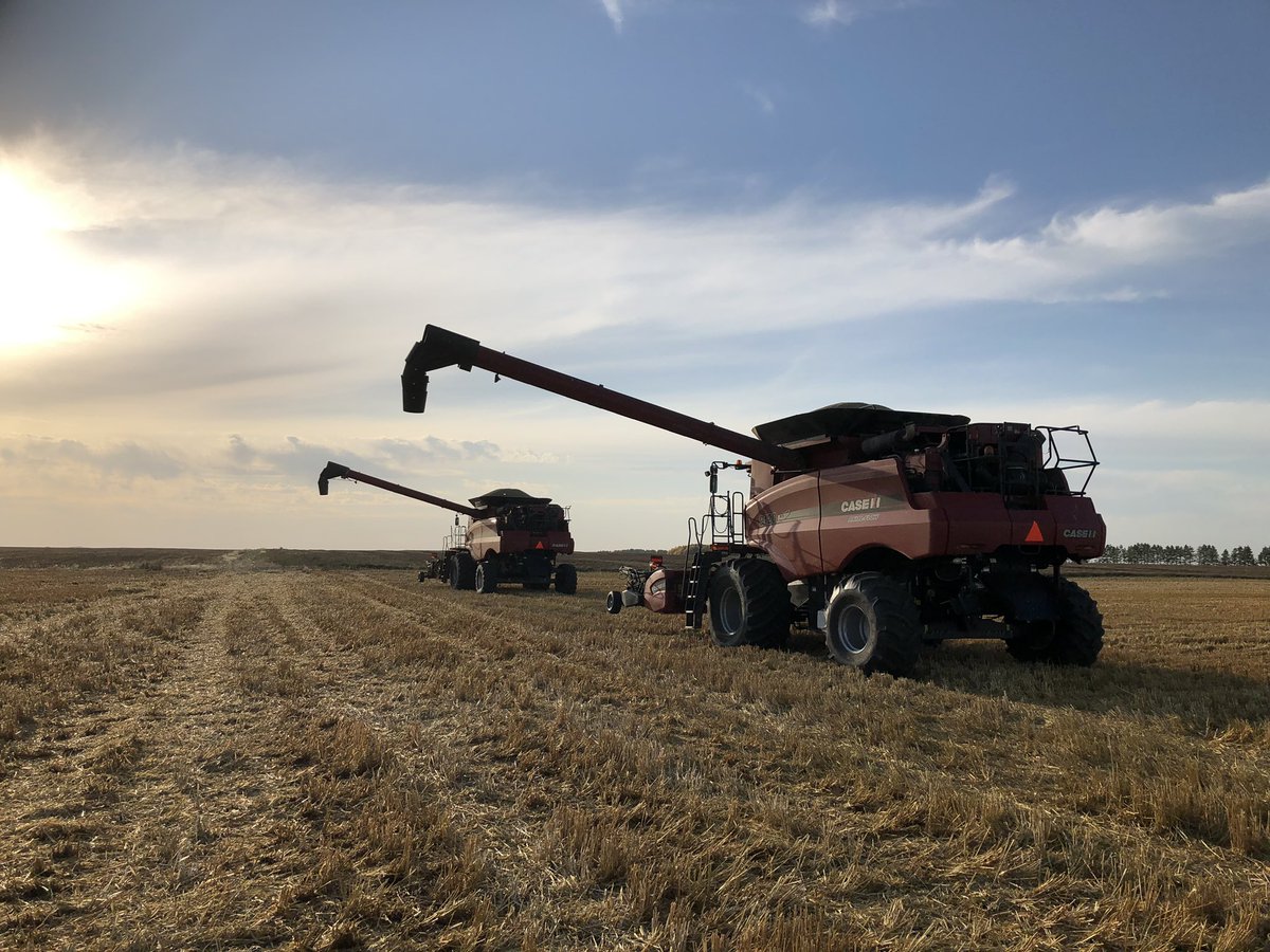 AgGeers's tweet photo. Ok, where’s my trucks? #harvest19 #runninglikecrazy https://t.co/NMw4dJL8vB