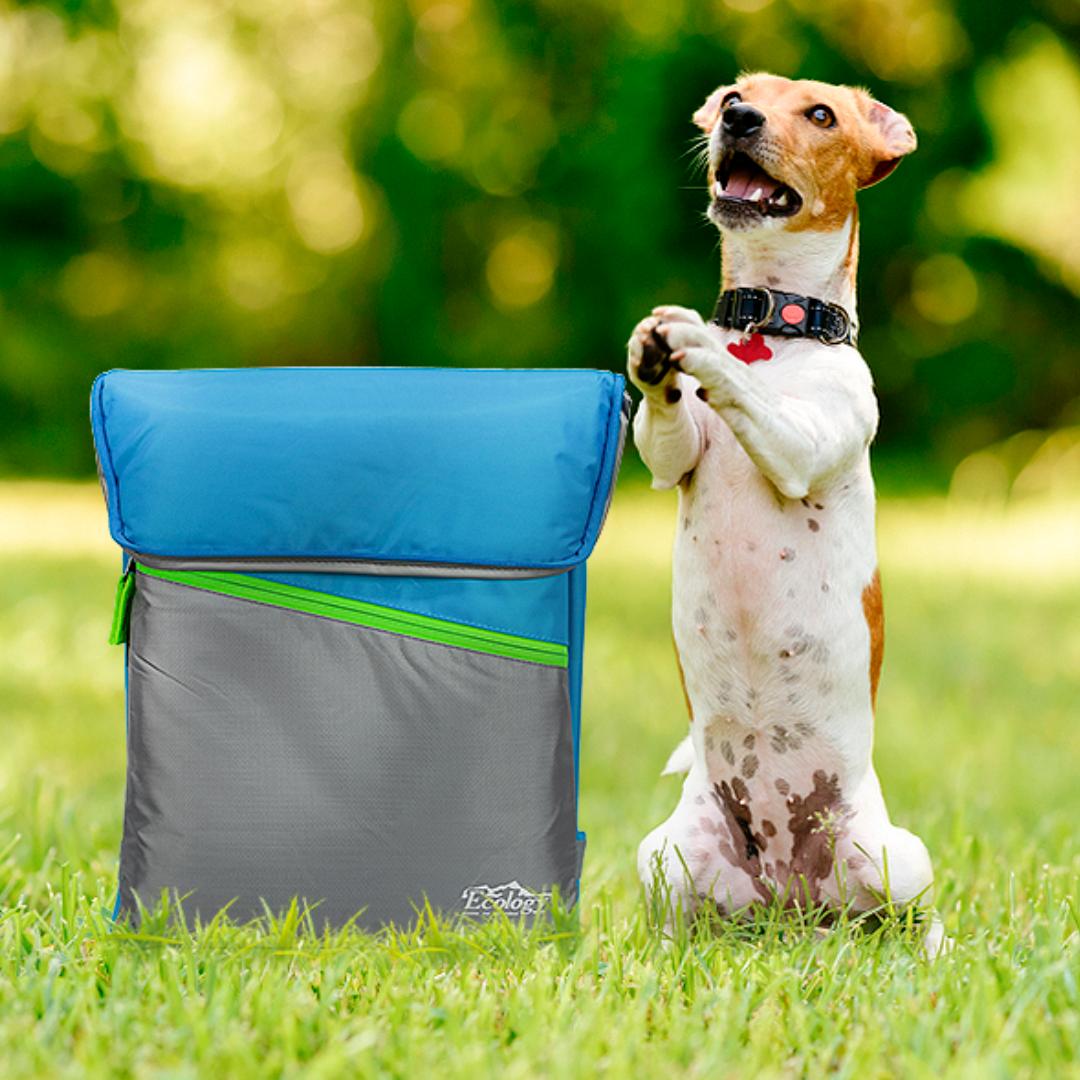 Mantén la frescura de tus bebidas y alimentos en viajes de excursión y playa con nuestro soft cooler plegable de 20 L ¡todos quieren uno! 😍