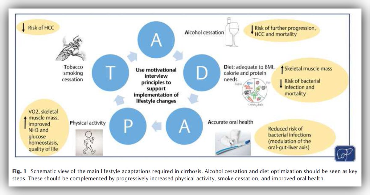 A must-read @SeminLiverDis review article on existing evidence supporting lifestyle changes in patients with #cirrhosis & motivational interviews as a tool to support better interaction between hepatologists & patients→jmp.sh/VkBpVWv via Drs. @PTBCN & @docberza #NAFLD