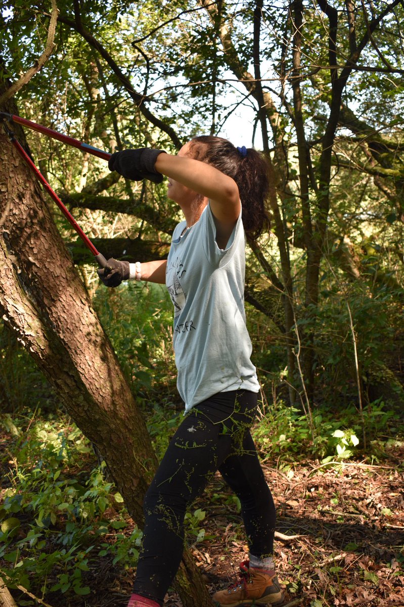 LoyolaSES's tweet photo. Have you ever visited LUREC? Restoration Work Days are the best days to go! You learn so much and experience nature like no other. Thank you LUC Restoration for this past Work Day!! Hope to see more people there at the next one in October. π²ππππ±ππ #LUREC https://t.co/O9bZjQ7MpR