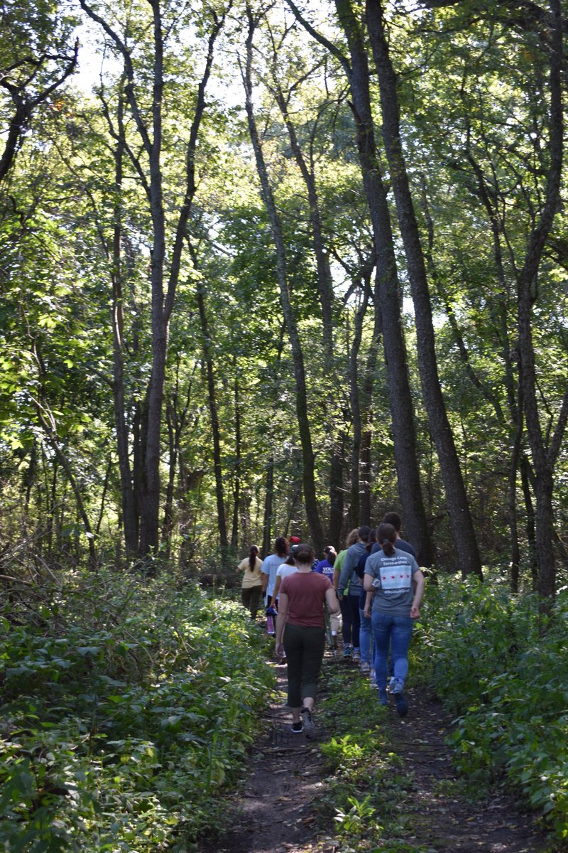 LoyolaSES's tweet photo. Have you ever visited LUREC? Restoration Work Days are the best days to go! You learn so much and experience nature like no other. Thank you LUC Restoration for this past Work Day!! Hope to see more people there at the next one in October. π²ππππ±ππ #LUREC https://t.co/O9bZjQ7MpR