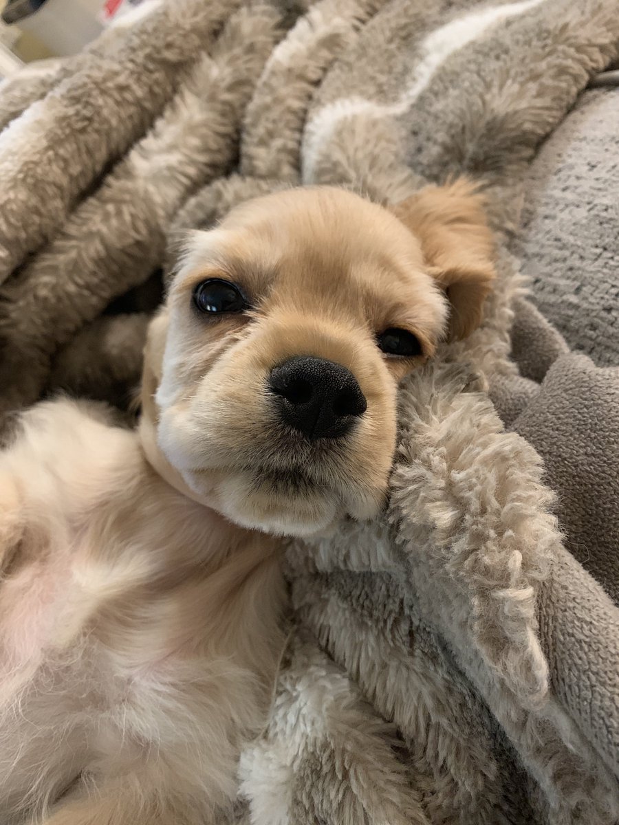 Katherine Salom tweet media