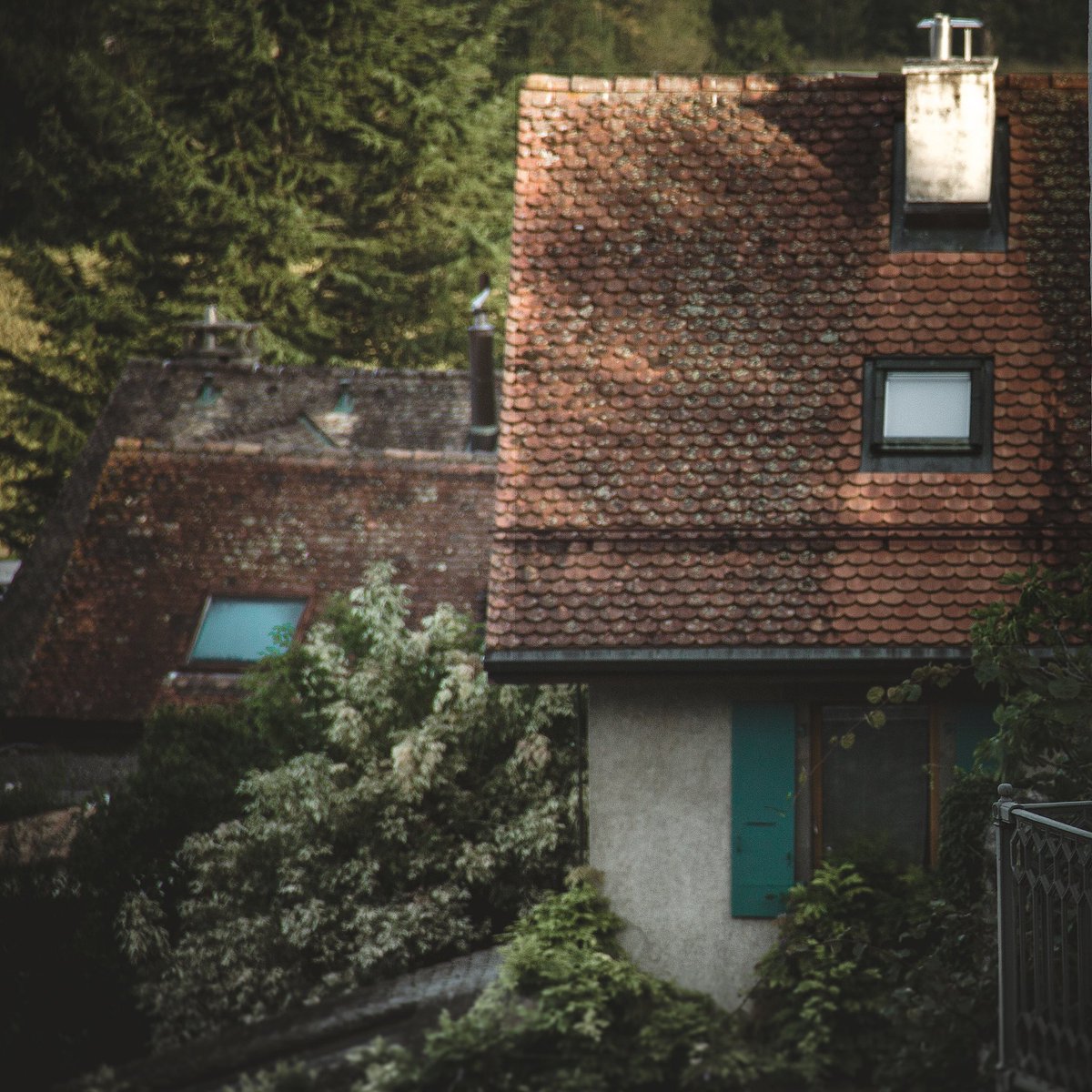 safiyetasgin's tweet photo. #Switzerland #confignon köyünde 3 güzel günün huzur dolu fotoğrafları. Yeşil, insandan sonra bir mekanı yaşanır kılan yegane özellik🍃 #icpic2019 https://t.co/eR4A2Ge2GS