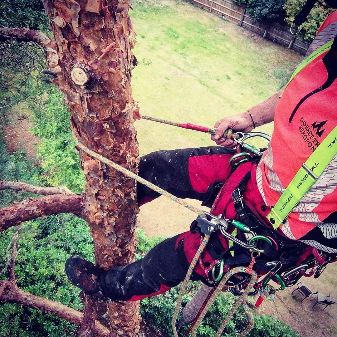 U.S. Rigging on Twitter "Check out our new upgraded rope grab in action ! It's ability to be