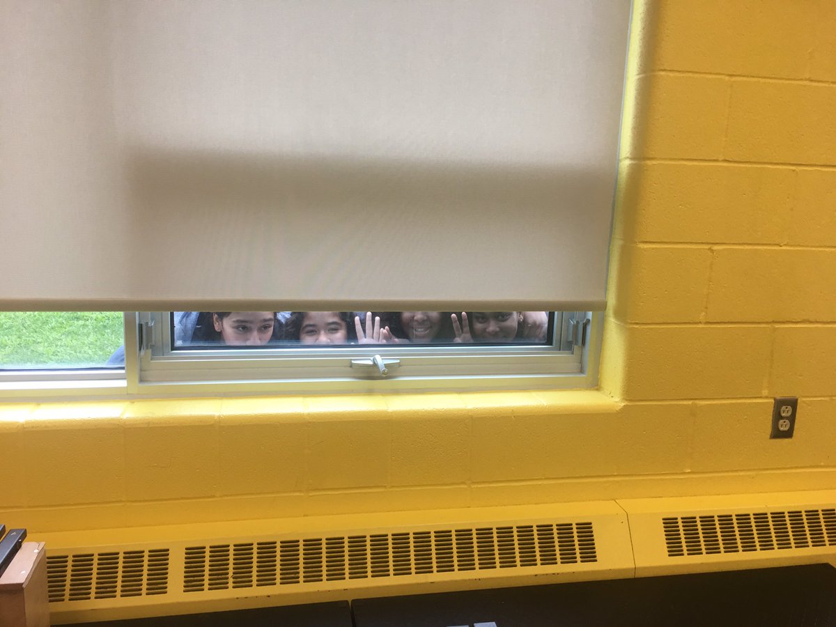 MusicOaks's tweet photo. Saw these 4 chipmunks this morning looking for me 😊 #castleoaksfamily https://t.co/umPXHzDZUX