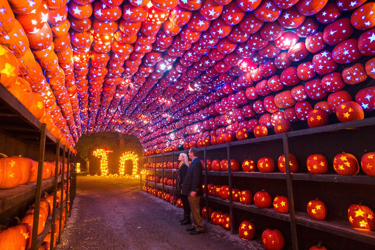 camp_rooster's tweet image. Planning a family trip in October? Consider one of these fun, Halloween-inspired spots! buff.ly/34QfvRA

#familytime #ParentsMagazine #family #Halloween #vacation #VacationIdeas #pumpkins #OctoberTrip #holidays #parenting #parentingtips #momlife #dadlife #travelwithKids