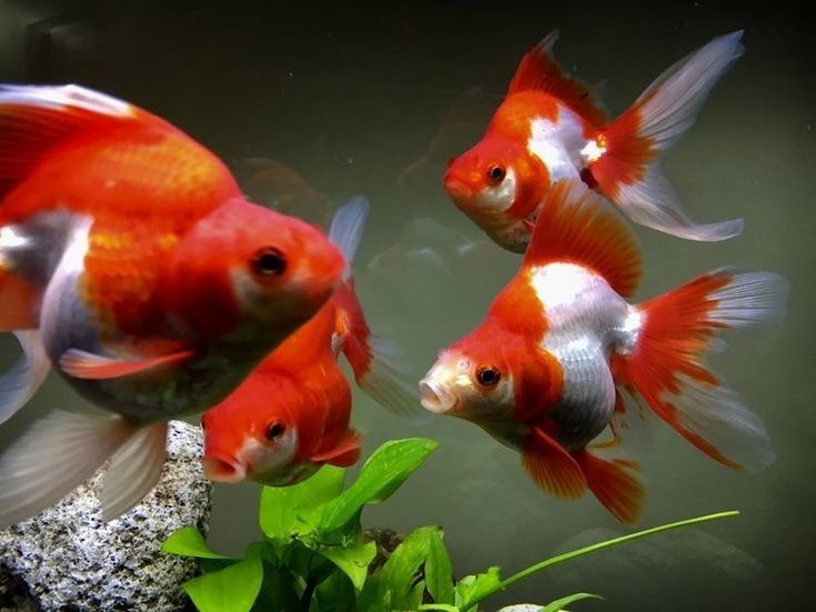 aquaMegaClub's tweet photo. #акваМегаКлуб https://t.co/CN7GWMBgqe https://t.co/vM6HOolBw5