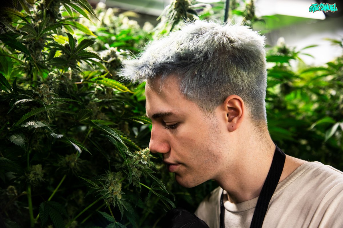 Coming soon......😮
📷 : 
.
.
.
.
.
#dabolio #olio #dabolio710 #olio710 #oliogrow #flower #hash #concentrates #terps #rosin #rosinjam #photography #collaboration #cannabis #cannabiscommunity #glass #glassblowers #denver #colorado #topshelf