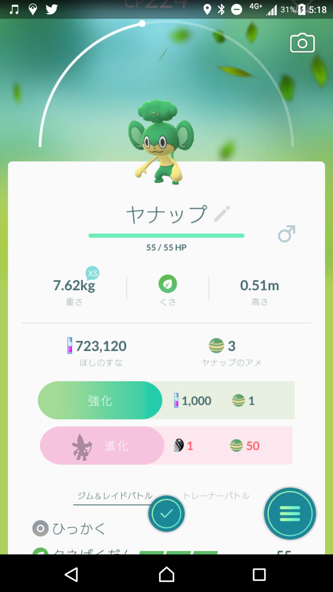 Fiana ヤナップ進化させるのに新アイテム必要なんだけど ポケモンgo T Co Fabephrerc Twitter