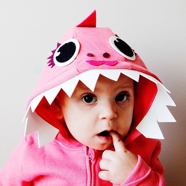 see kate sew tweet media