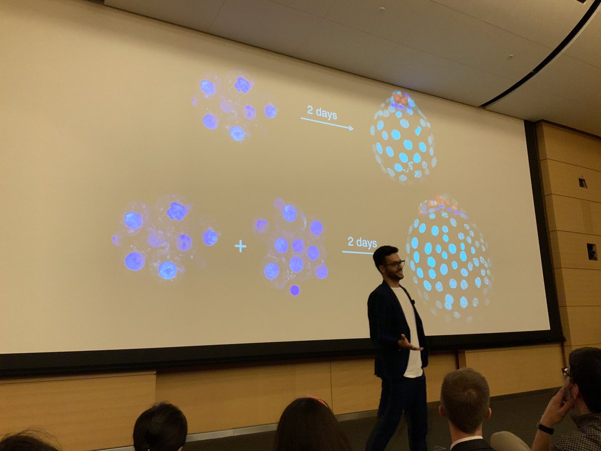 MSKPDA's tweet photo. Our third #PostdocSlam contestant @elneztor presenting his #MSKResearch https://t.co/1NlmivpAjI