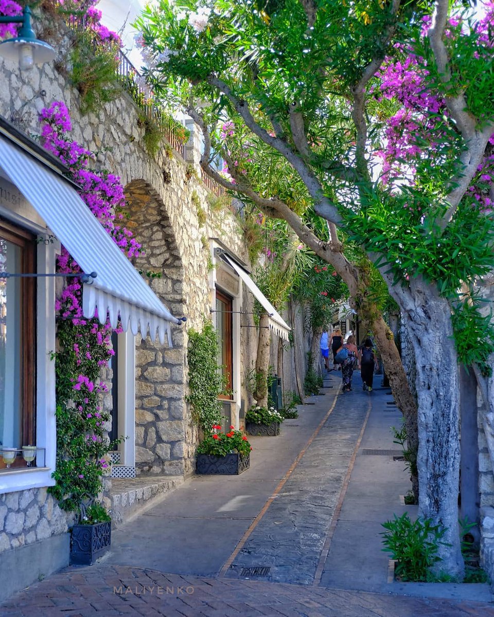 moraimauy's tweet photo. #niceStreet 🌸💕🍃 https://t.co/43qSD9JweX