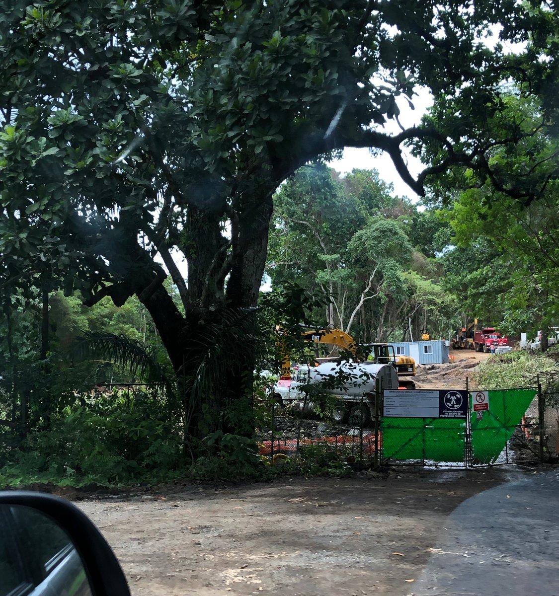 PorBosquesPty's tweet photo. @MConcepcionL @UKinPanama ¿Así es como se trabaja en pro del ambiente?

#RespetoALaLey21
#LaLeyEsParaTodos
#Clayton https://t.co/OeCVeyrFCI