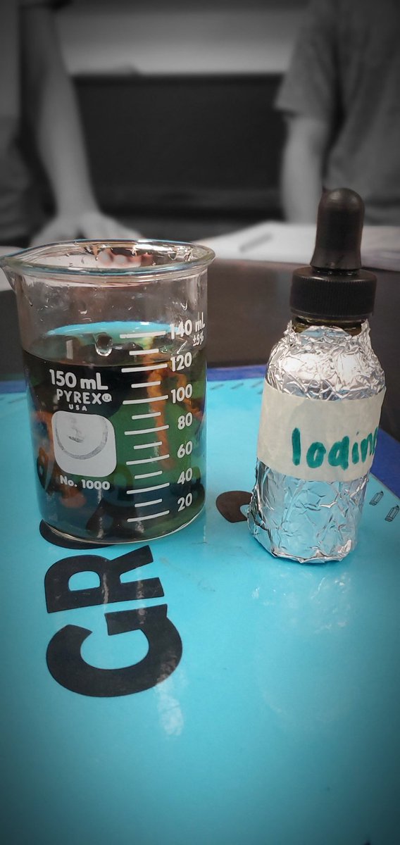 teach_me24's tweet image. @HHSBigRed Biology students did the ever faithful osmosis lab today! They were testing which direction water will move when a cell filled with starch is placed in an iodine solution. #tkbio #scienceteacher #highschoolscience #iteachscience