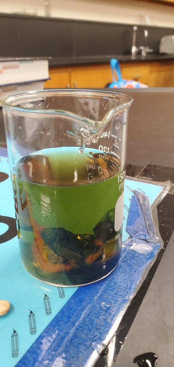 teach_me24's tweet image. @HHSBigRed Biology students did the ever faithful osmosis lab today! They were testing which direction water will move when a cell filled with starch is placed in an iodine solution. #tkbio #scienceteacher #highschoolscience #iteachscience