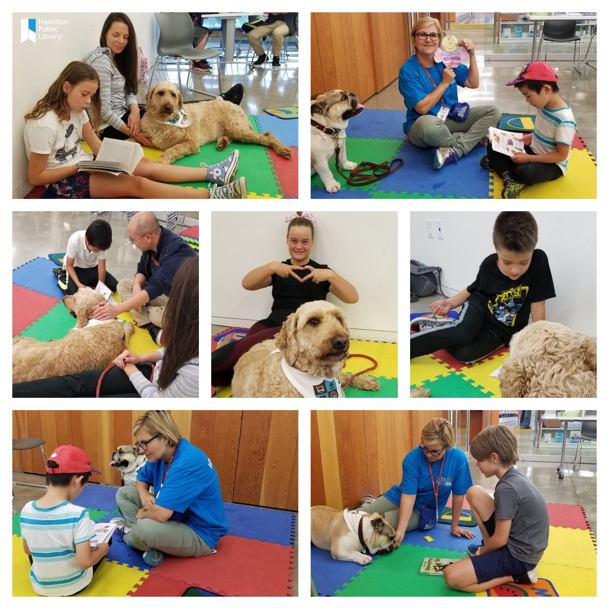 HamiltonLibrary's tweet photo. #HPLWaterdown's βSit! Stay! Read! program started again with a bark! Thank you to our amazing volunteers Jeanette and Larissa and @HB_SPCA #HamOnt #librariestransform https://t.co/5fzKtODjIe