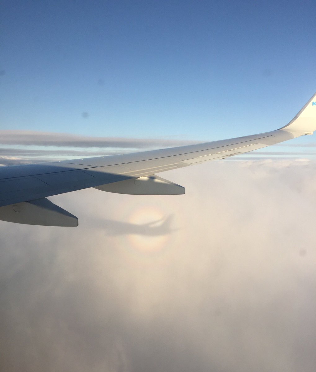 De cirkel bij de schaduw, is dat een halo?  <a href="/helgavanleur/">Helga van Leur ☀</a> #dtv