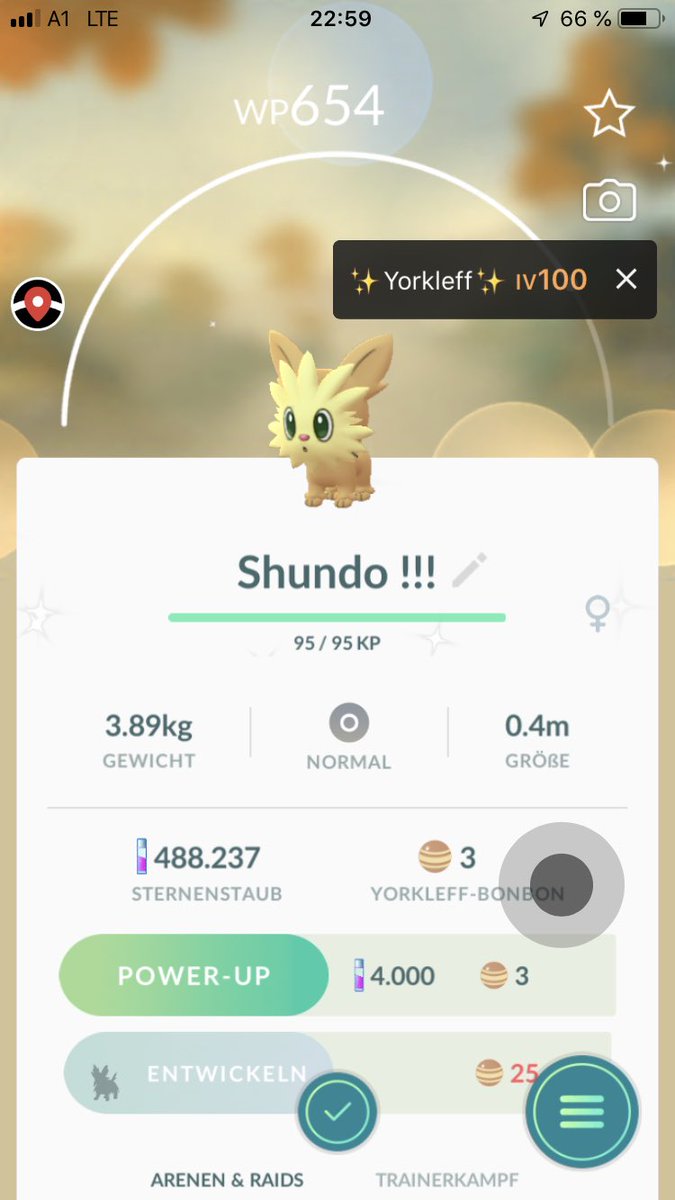 shundotracker's tweet photo. Yeahhhh my first Gen.5 #Shiny 😍
And it is a #Shundooooo 💯✨
#Shiny #Shinycheck #Shundo #Shundohunt #100IV https://t.co/0Zw6mCZhdF