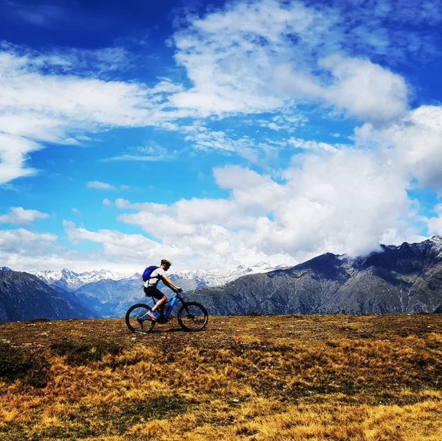 Rosario Palazzolo tweet media