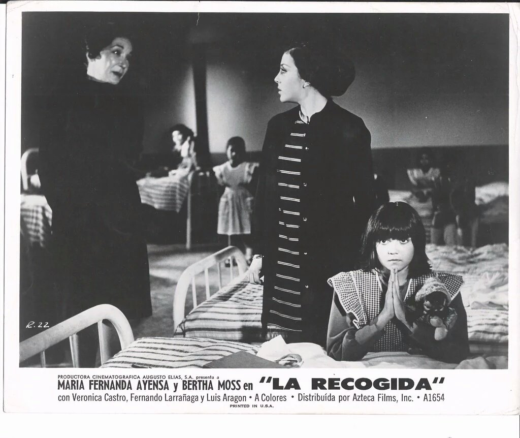 Letizia2770's tweet photo. #cinema @vrocastroficial
#Larecogida
@vrocastroficial #veronicacastro #verónicacastro #VerónicaCastro #diosa #divaporsiempre #Reina #hermosa #leyendaviviente #reynadelastelenovelas #chaparritadeoro #laveroeslavero https://t.co/gDE3hz78D0