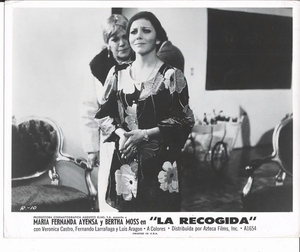 Letizia2770's tweet photo. #cinema @vrocastroficial
#Larecogida
@vrocastroficial #veronicacastro #verónicacastro #VerónicaCastro #diosa #divaporsiempre #Reina #hermosa #leyendaviviente #reynadelastelenovelas #chaparritadeoro #laveroeslavero https://t.co/gDE3hz78D0