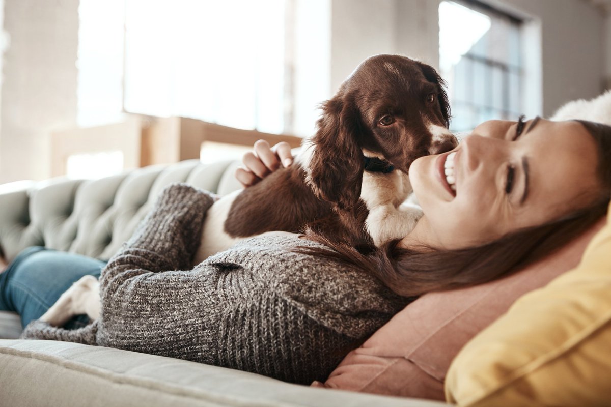 TheJoeLofts's tweet photo. We know your pets hold a very special place in your heart and we love your four-legged companions, too! We’re happy to be a pet-friendly community! https://t.co/nAxDRq7ZAv https://t.co/B1pKaJ9Os8